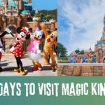 Best Days to Visit Magic Kingdom